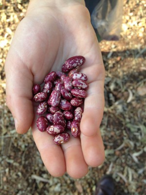 keith beans