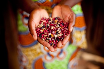 HOPE photo - entrepreneur