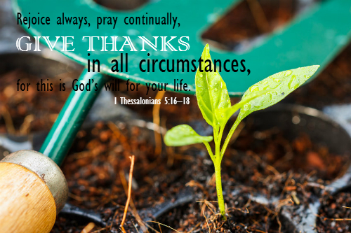 cultivating_gratitude